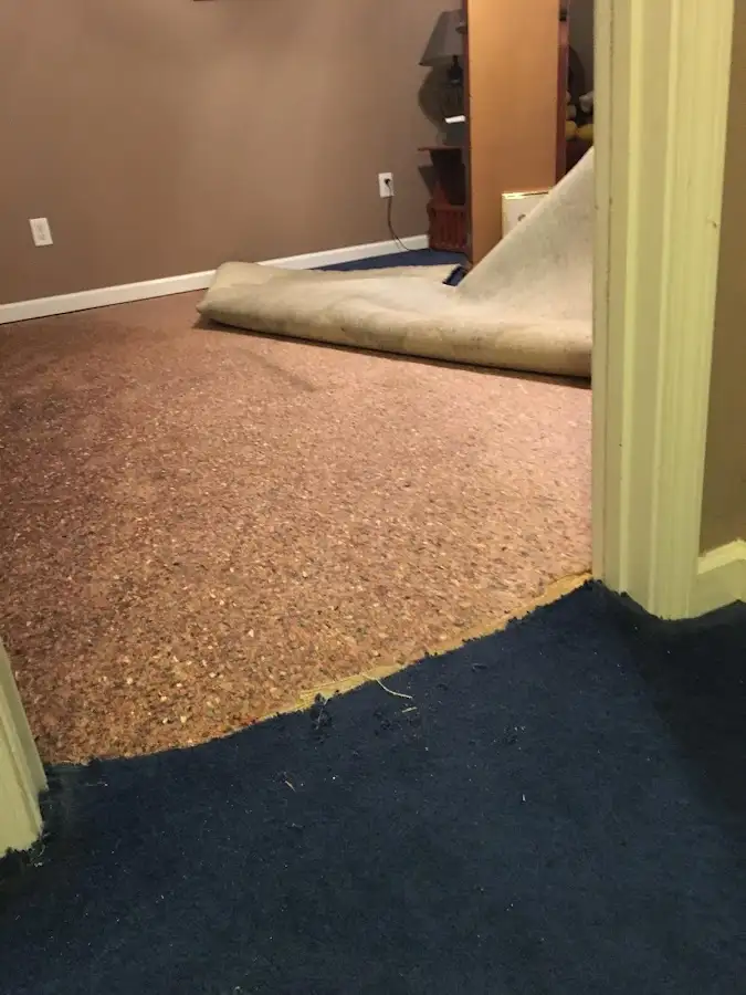 Carpet pad removal revealing water damage during Drying & Dehumidification in Lake Tapps