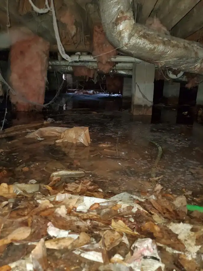Crawl space flood assessment for Leak Detection & Repair in Lake Tapps