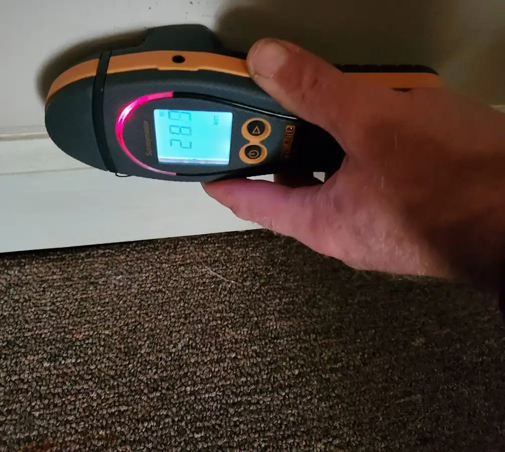Moisture detection at baseboard during Mold Inspection & Testing in Lake Tapps